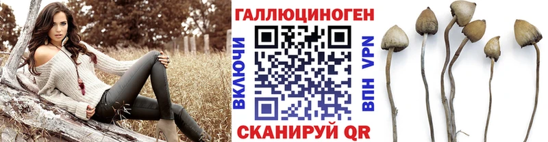 Галлюциногенные грибы мицелий  купить наркоту  Чкаловск 
