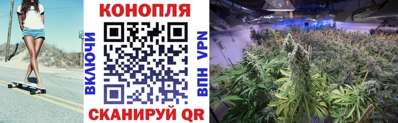 MEGA ONION Чкаловск Конопля Amnesia